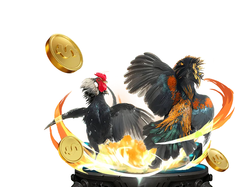 Đá gà trực tiếp TT88