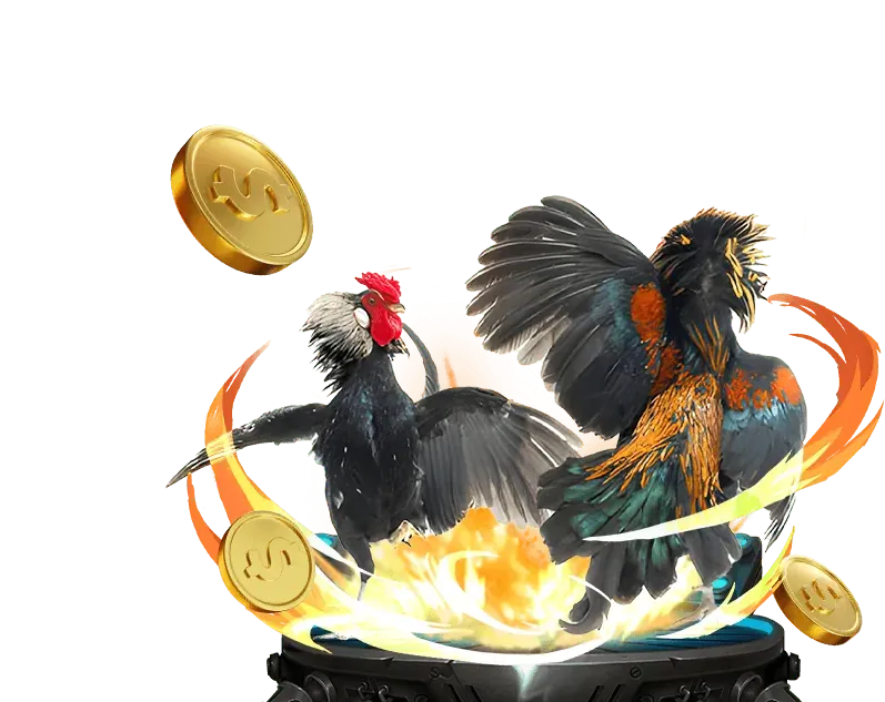 Đá gà trực tiếp TT88